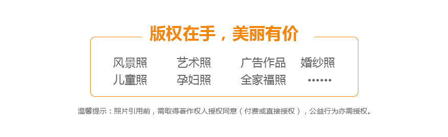 版權分類