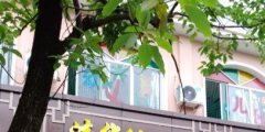 清華大學訴“清華幼兒園”商標侵權 索賠50萬