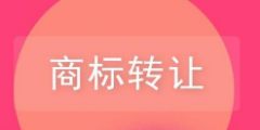 商標轉讓前不知道這些小心吃大虧！