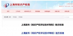 10月1日施行！上海發布《知識產權評議技術導則》地方標準