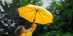 雨傘商標轉讓流程以及類別
