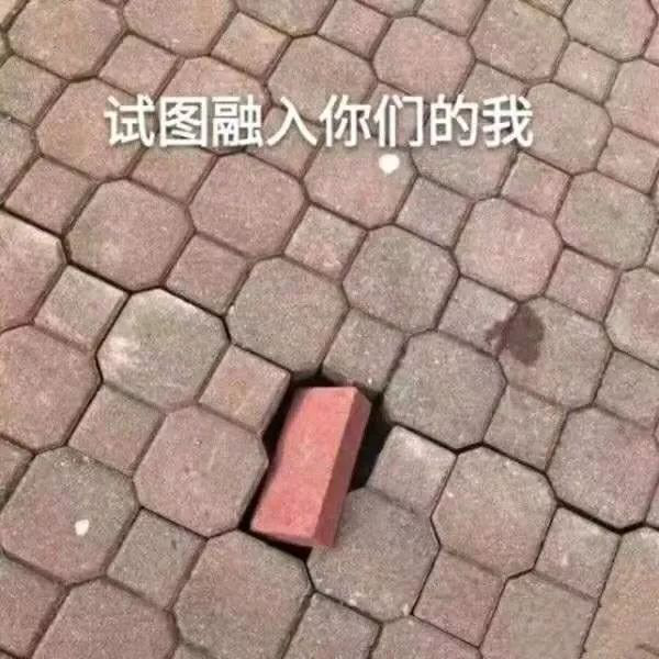 “nss、xswl、pyq、cx、zqsg、走花路……”細(xì)數(shù)那些被注冊(cè)商標(biāo)的00后黑話(huà)