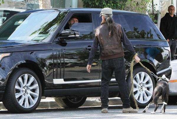 以“動物”為標志的汽車，路上見到記得避讓，碰壞了賣車也賠不起
