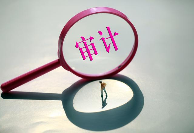 需要做稅審報告的企業(審計一般什么公司需要做)