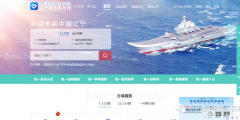 沈陽工商營業執照網上辦理流程(沈陽個體營業執照網上申請入口)