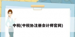 中稅(中稅協注冊會計師官網)