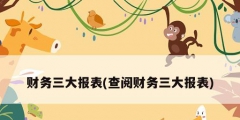 財務(wù)三大報表(查閱財務(wù)三大報表)