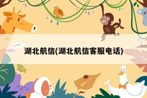 湖北航信(湖北航信客服電話)