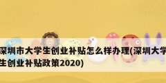 深圳市大學生創業補貼怎么樣辦理(深圳大學生創業補貼政策2020)