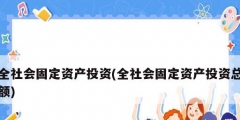 全社會固定資產投資(全社會固定資產投資總額)